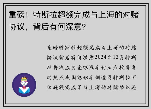 重磅！特斯拉超额完成与上海的对赌协议，背后有何深意？