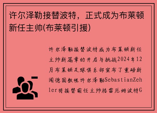 许尔泽勒接替波特，正式成为布莱顿新任主帅(布莱顿引援)