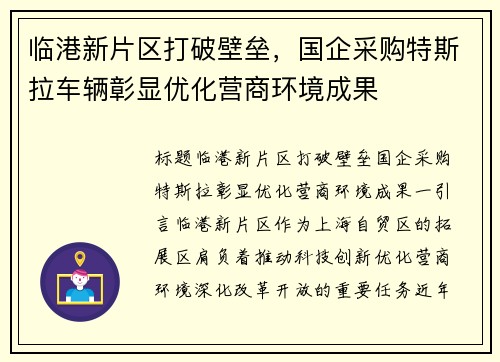 临港新片区打破壁垒，国企采购特斯拉车辆彰显优化营商环境成果