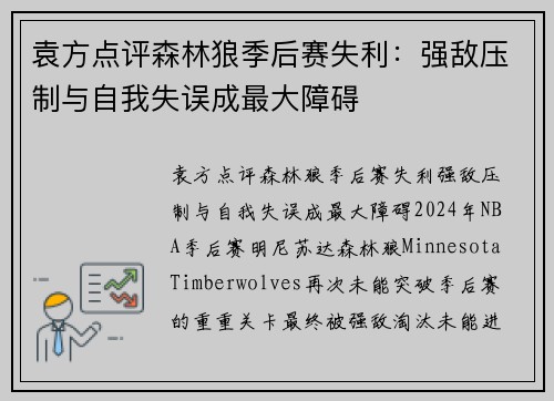 袁方点评森林狼季后赛失利：强敌压制与自我失误成最大障碍